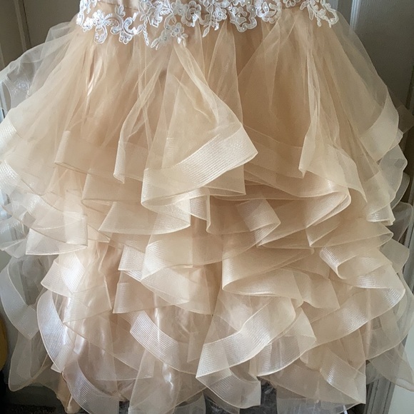 Bridal or Prom gown Unaltered - Picture 6 of 16